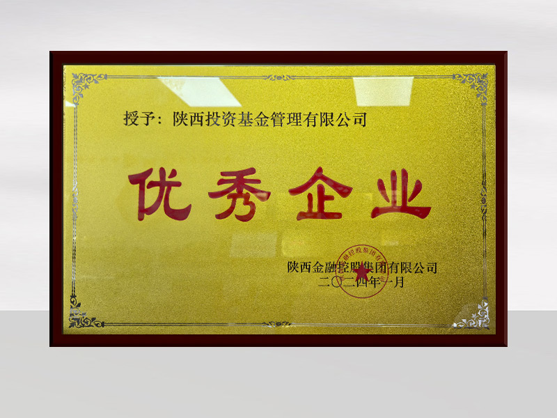 2024年优秀企业